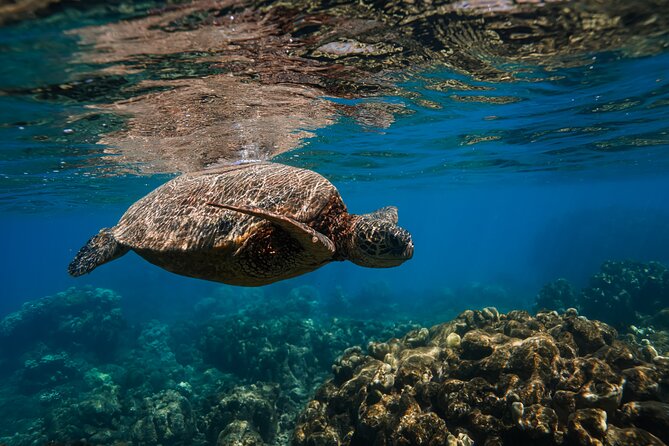 Scenic Coastal Adventure In 4x4 With Turtle Town Snorkel + Photos - Keoneʻōʻio Bay photo break: quick, useful, and not too long