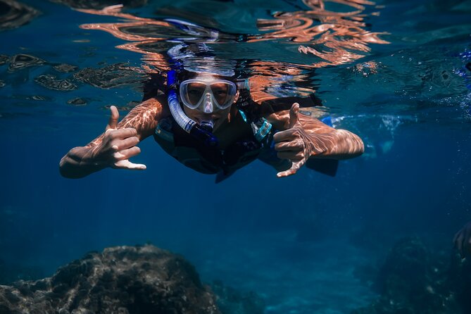 Scenic Coastal Adventure In 4x4 With Turtle Town Snorkel + Photos - Price and value: is $249 worth a half-day of 4x4 plus turtle snorkel?