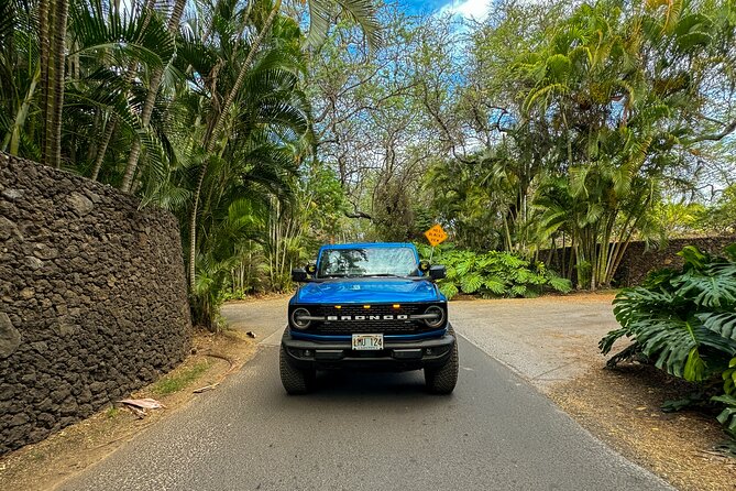 Scenic Coastal Adventure In 4x4 With Turtle Town Snorkel + Photos - What to pack (and what to skip) for a smooth snorkel day