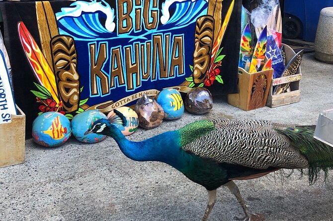 Sea / Eat & See The North Shore - Fruit Stands, Haleiwa Town, and a Macadamia Nut Farm