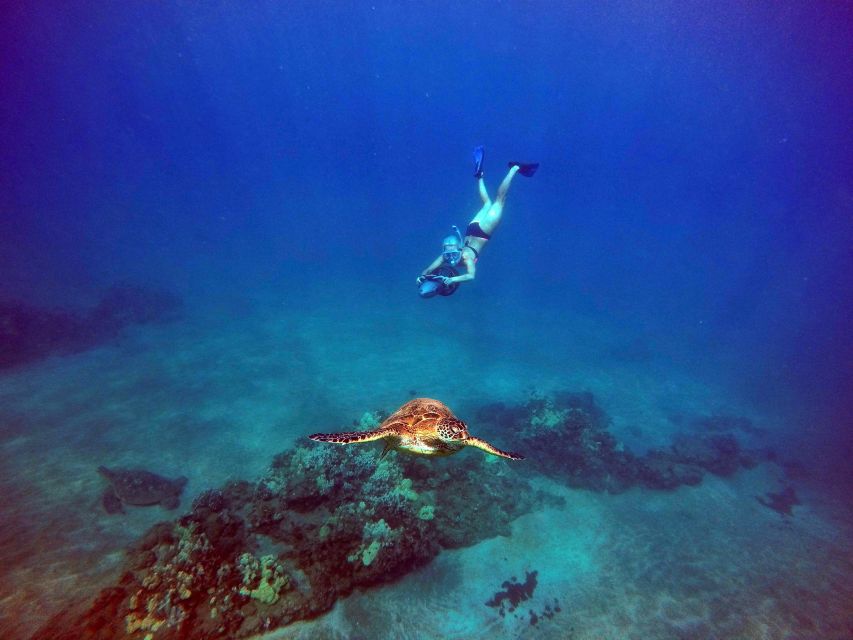 Sea Scooter Snorkeling Guided Tour - Wailea Beach - Key Highlights Worth Booking For
