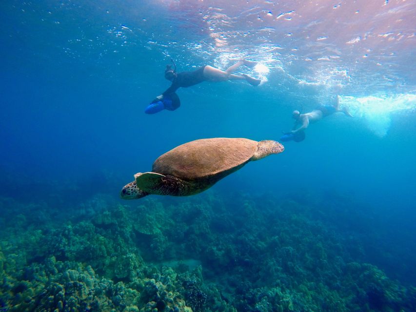 Sea Scooter Snorkeling Guided Tour - Wailea Beach - Timing and Group Size: Why the 1.5 Hours Feels Like More