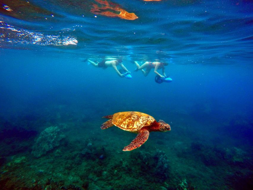 Sea Scooter Snorkeling Guided Tour - Wailea Beach - The Main Snorkel Window: Guided Reef Time Around Wailea-Makena