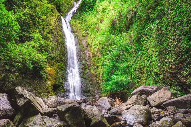 Self Guided Hike Trail to Nature Walk & Waterfall - Manoa Falls: the 150-foot waterfall walk that stays easy