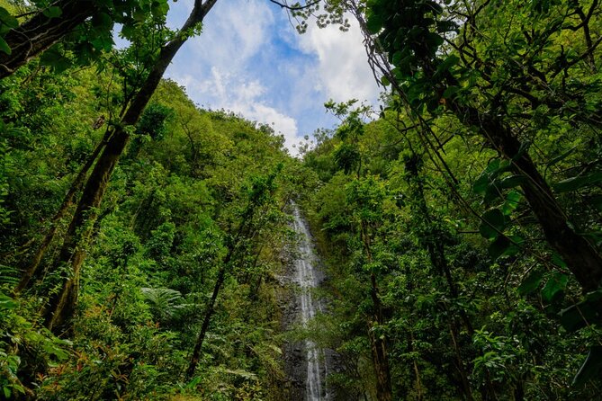 Self Guided Hike Trail to Nature Walk & Waterfall - Tantalus Lookout: a panoramic payoff for your eyes