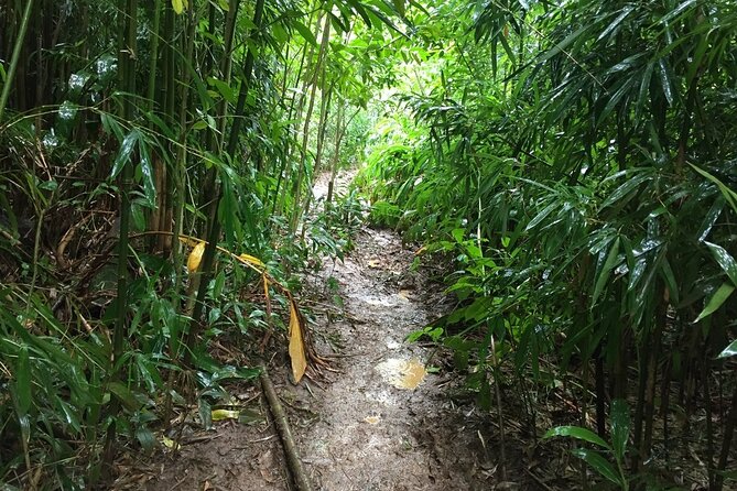 Self guided Hike Trail to Nature Walk & Waterfall - Pace, gear, and trail comfort: how to enjoy it when it’s muddy