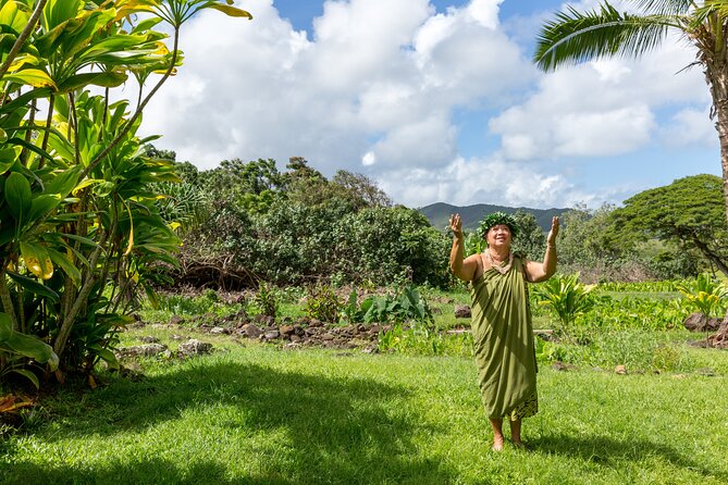 Semi Private Honolulu Historical Tour - Pickup and Timing: The Real Comfort of a 5–6 Hour Plan