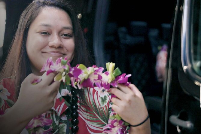 Shared Arrival Transfer: Honolulu Airport to Hotel or Cruise Terminal - Mercedes shuttle comfort (and what shared rides really mean)
