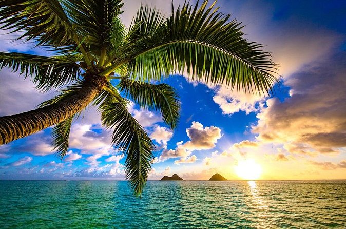 Shared Departure Transfer: Hotel to Maui Kahului Airport - Who This Transfer Is Best For