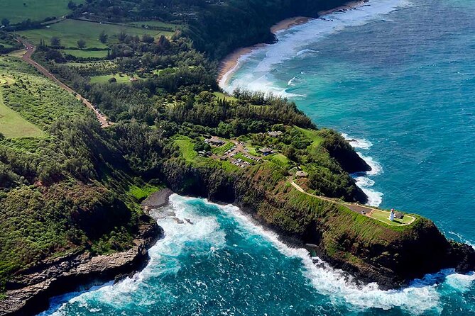 Shared Round-Trip Transfer: Honolulu Airport to Hotel or Cruise Terminal - The Small Print That Can Save Your Trip
