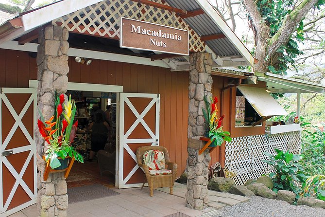 Sights & Bites Ultimate Oahu Circle Island Foodie Tour - Puaʻena Point Sea Turtles and Dole Plantation: Afternoon Choices and Crowds
