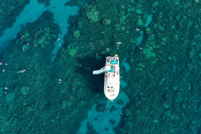 Small Group Coral Gardens Snorkel & Waterslide Adventure - A 3-hour Maui afternoon with a real “in-water” payoff