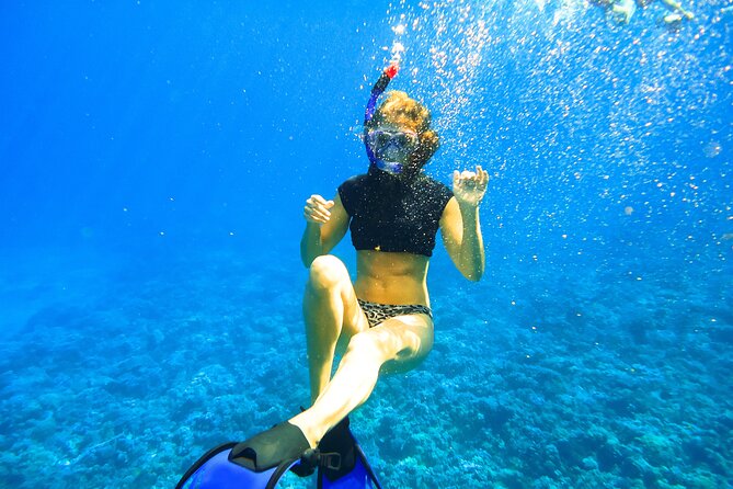 Small Group Coral Gardens Snorkel & Waterslide Adventure - What “afternoon snorkeling” feels like on the water