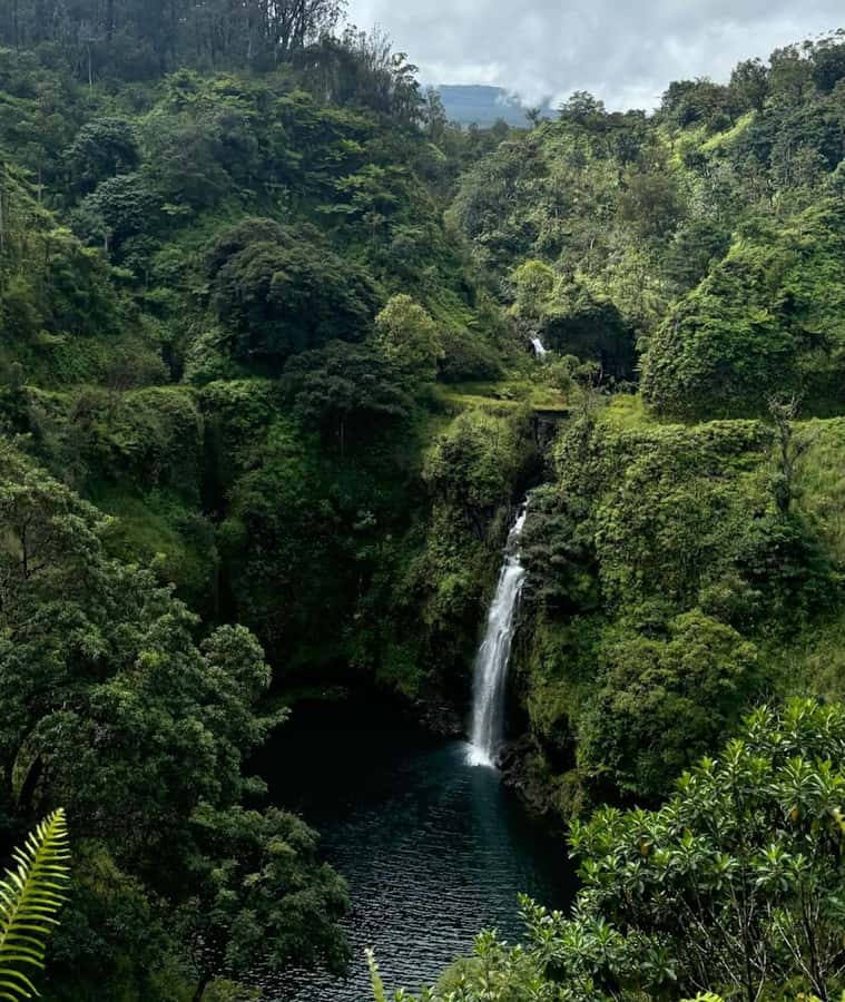 Small Group Full Day Road to Hana Adventure Guided Tour - Key highlights worth getting excited about