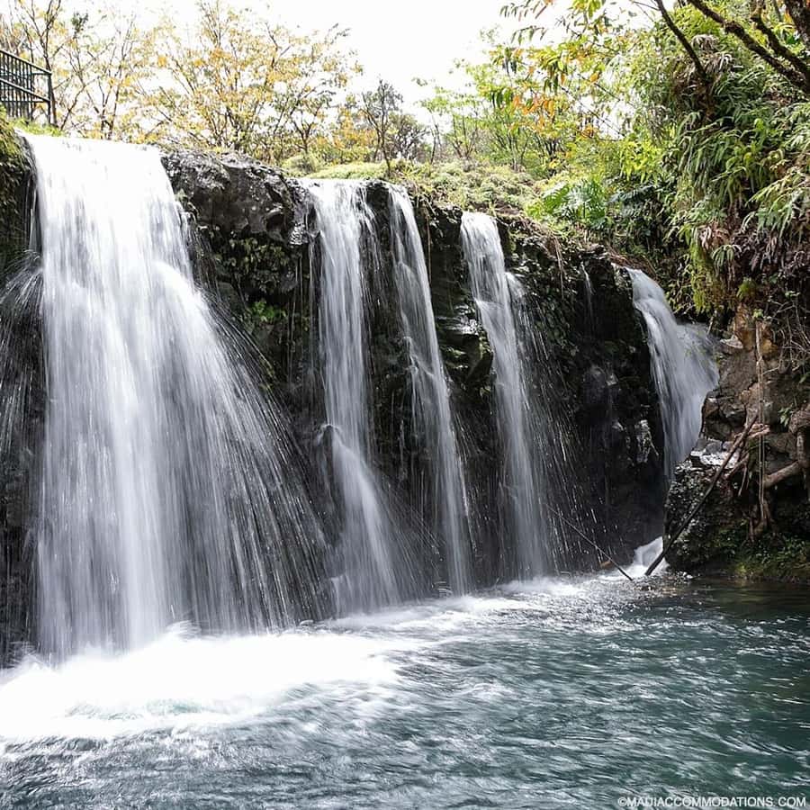 Small Group Full Day Road to Hana Adventure Guided Tour - Wai’anapanapa Black Sand Beach: The Volcanic Finale