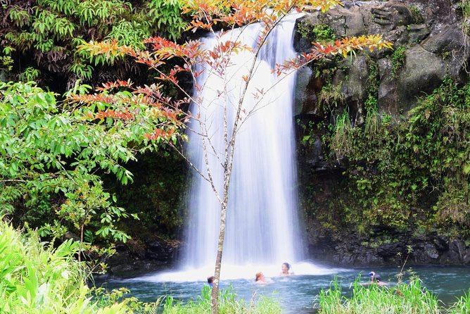 Small-Group Luxury Tour: Road to Hana and Ka'eleku Cavern Day Trip - Pickup, Snacks, and the 7:00 am Start That Keeps You Ahead of the Day