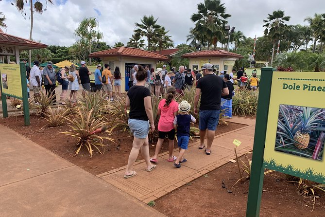 Small Group-Oahu Tour, Dole Plantation, Northshore, Sunset Beach - Haleiwa Town: local style, short strolls, and Matsumoto Shave Ice