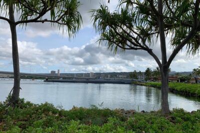 Small Group-Oahu Tour, Dole Plantation, Northshore, Sunset Beach - Pickup, comfort, and the pace you should expect