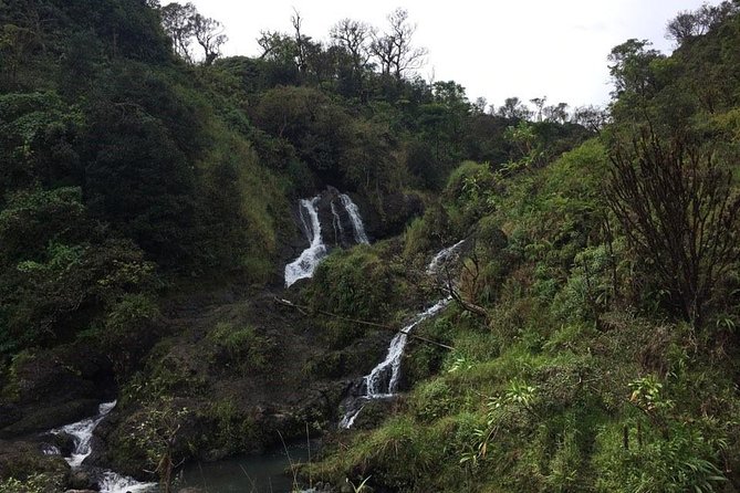 Small-Group Road to Hana Adventure Tour with Pickup & Lunch - Key Points You’ll Care About