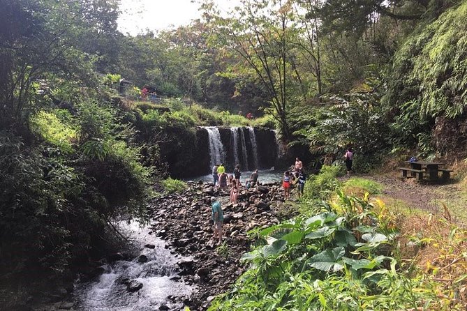 Small-Group Road to Hana Adventure Tour with Pickup & Lunch - Why This Road to Hana Tour Works on Maui’s Curvy, Serious Roads