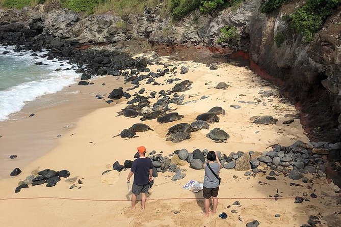 Small-Group Road to Hana Adventure Tour with Pickup & Lunch - Price and What $209.99 Buys You (Besides Seats)