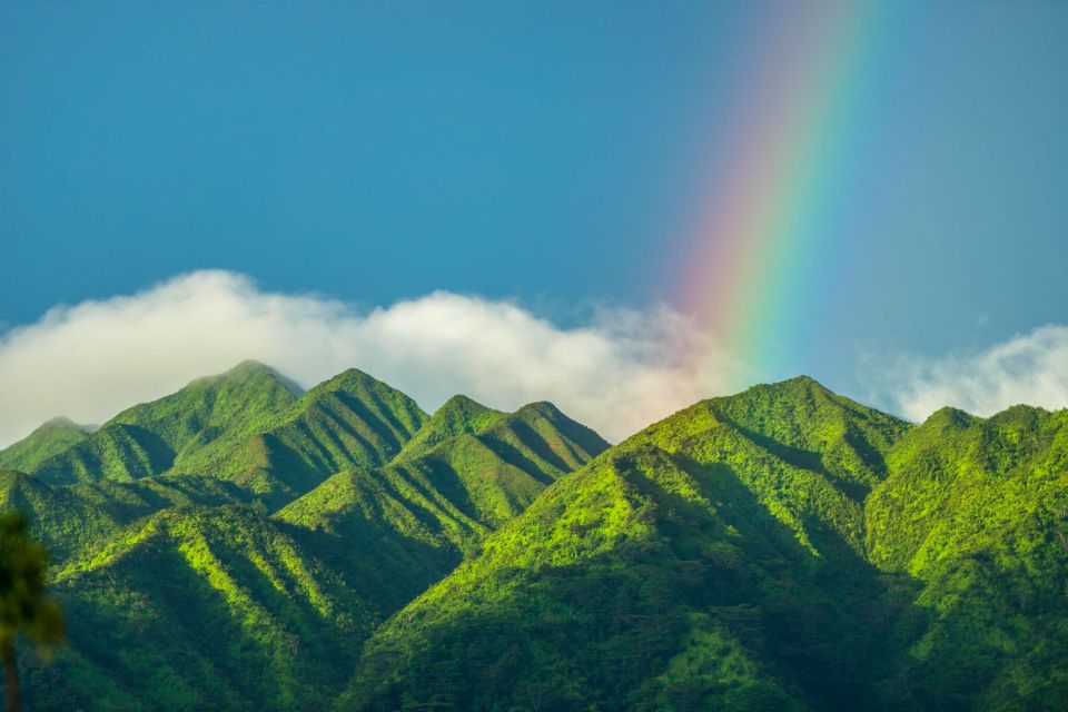Small Group Tour of Honolulu Scenic Vistas with Sunset - Koko Crater Botanical Garden: plumerias and a calmer pace