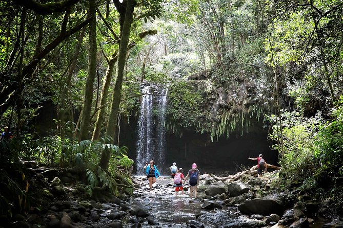Small Group Waterfall and Rainforest Hiking Adventure on Maui - Meeting Point and Getting There Without a Headache