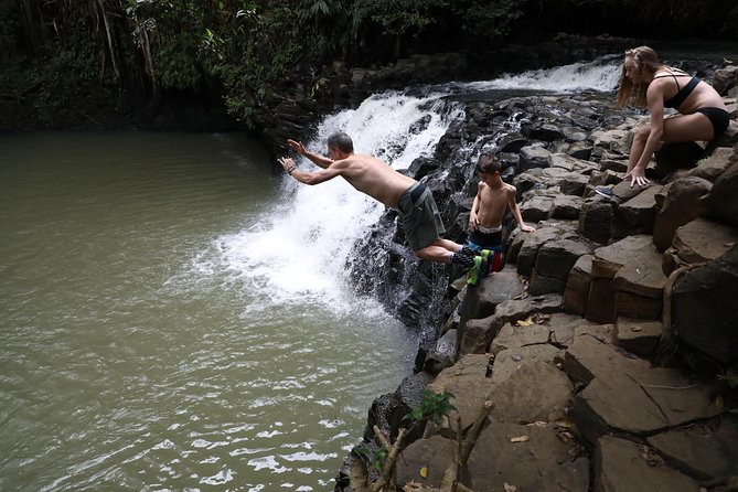 Small Group Waterfall and Rainforest Hiking Adventure on Maui - What Your Guide Teaches While You Walk (From Plants to Culture)