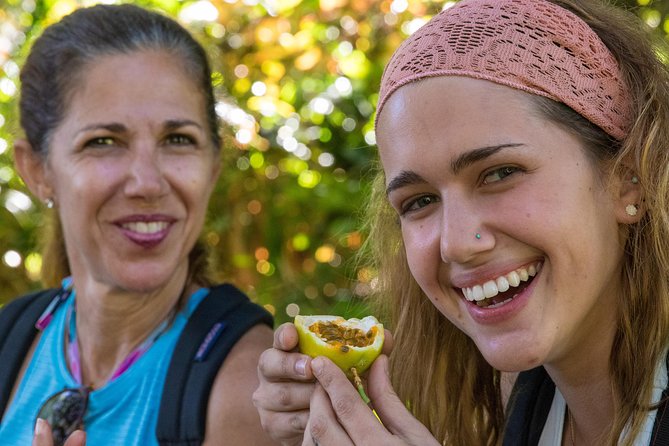 Small Group Waterfall and Rainforest Hiking Adventure on Maui - Photos, Waterfalls, and the Stuff You Should Bring
