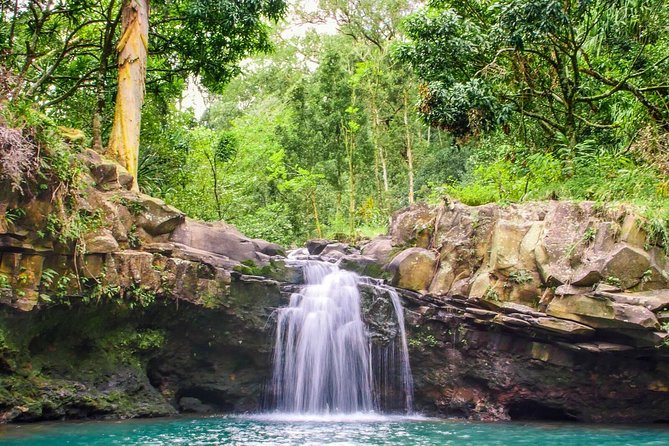 Small Group Waterfall and Rainforest Hiking Adventure on Maui - Price and Value: Is $187.43 Worth It?