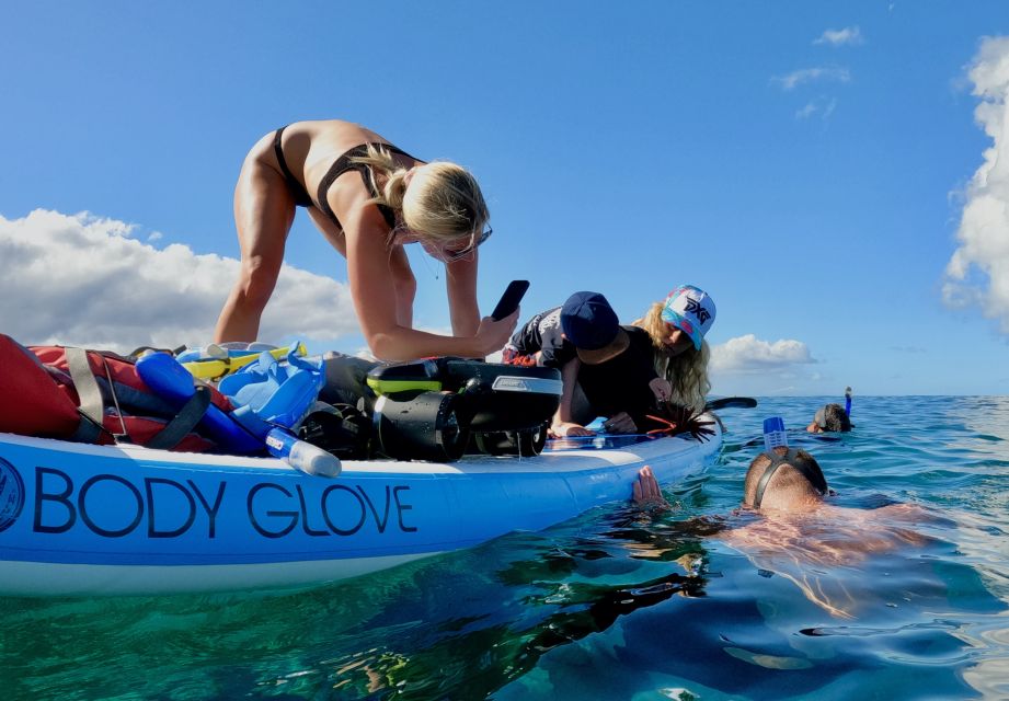 Snorkeling for Non-Swimmers Guided Tour - Wailea Beach - Wailea Beach shore snorkeling: why this setup works for first-timers