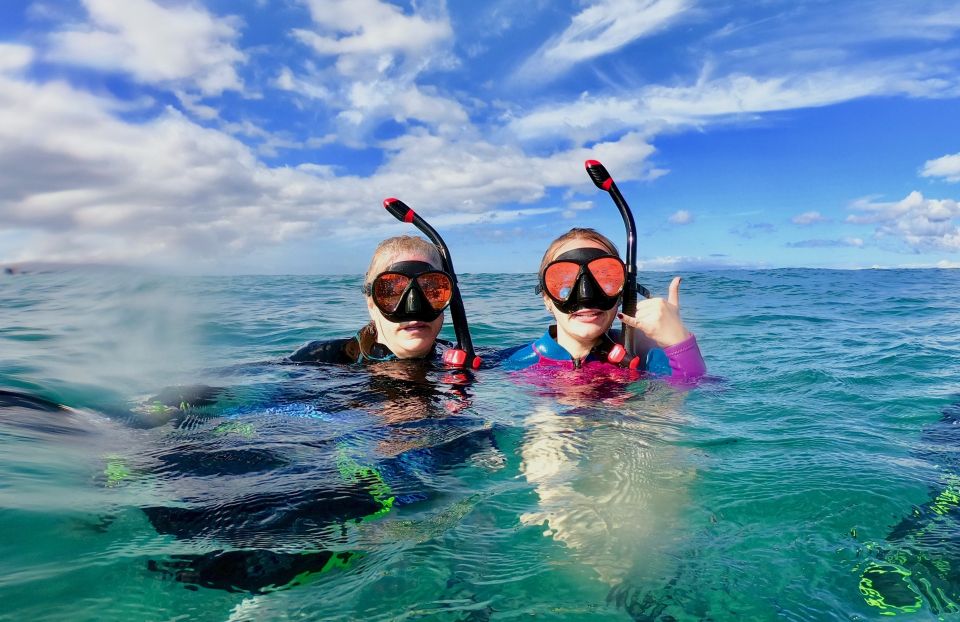 Snorkeling for Non-Swimmers Guided Tour - Wailea Beach - Who this beginner snorkeling tour is best for