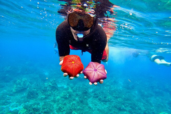 Snorkeling for Non-Swimmers with Photos Guided Tour Wailea Beach - Guides that make or break a beginner tour