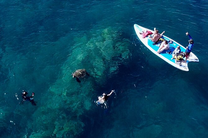 Snorkeling for Non-Swimmers with Photos Guided Tour Wailea Beach - Price and value: what $149 really buys