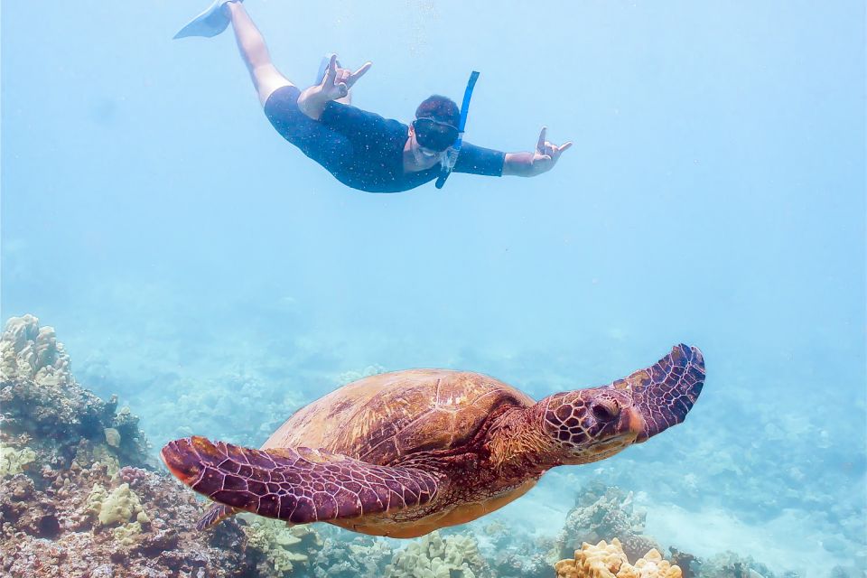 South Maui: Molokini Snorkeling Adventure - Key things that make this snorkeling day work