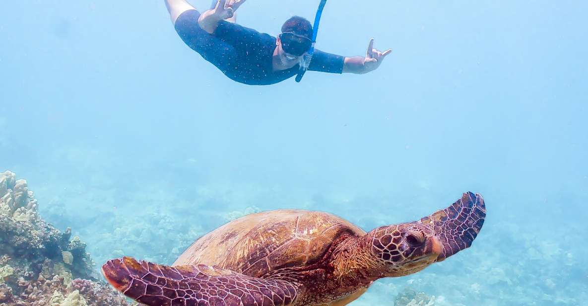 South Maui: Molokini Snorkeling Adventure - Calypso Catamaran Setup: Three Decks, Glass Bottom, and Easy Water Access