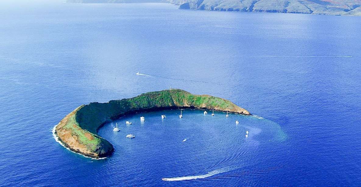 South Maui: Molokini & Turtle Town Snorkeling Tour with Meal - Molokini crater: where the fish viewing gets serious