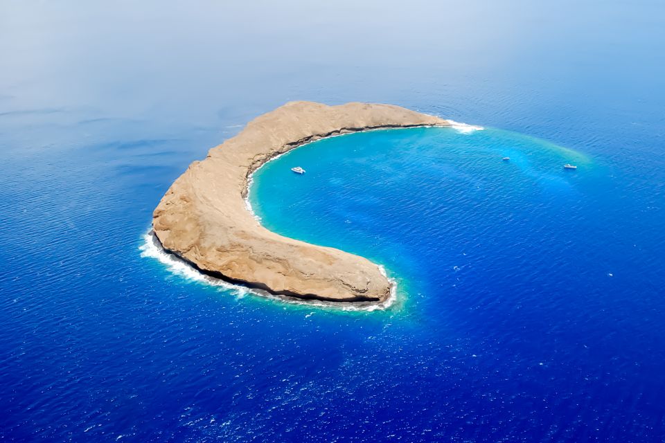 South Maui: Molokini Wild Eco Adventure from Maalaea Harbor - Small-Group Snorkeling That Actually Feels Flexible