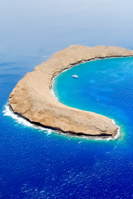 South Maui: Molokini Wild Eco Adventure from Maalaea Harbor - Maalaea Check-In and the Morning Setup That Keeps You Relaxed
