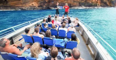 South Maui: Molokini Wild Eco Adventure from Maalaea Harbor - Ocean Explorer on the Water: Roomy Catamaran, Unblocked Views