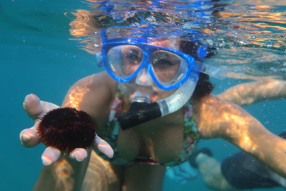 South Maui: Premium Turtle Town Kayak and Snorkel Tour - Kayak time along the south coast: views, rhythm, and whale chances