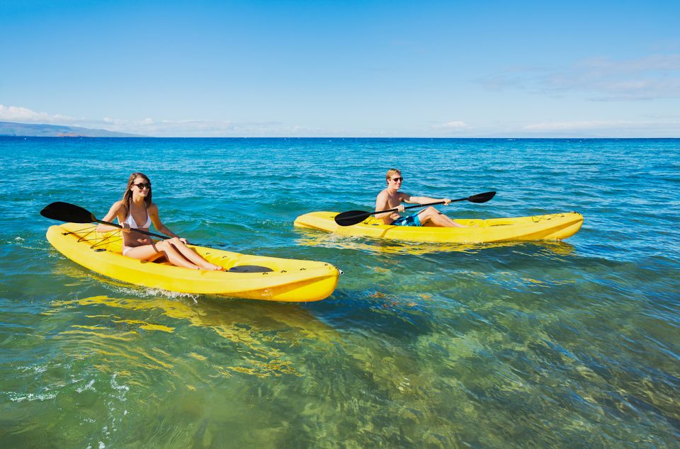 South Maui: Premium Turtle Town Kayak and Snorkel Tour - What to bring for a smooth Turtle Town morning
