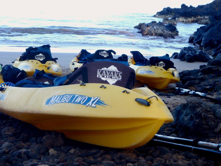 South Maui: Premium Turtle Town Kayak and Snorkel Tour - Who should book this South Maui Turtle Town tour?