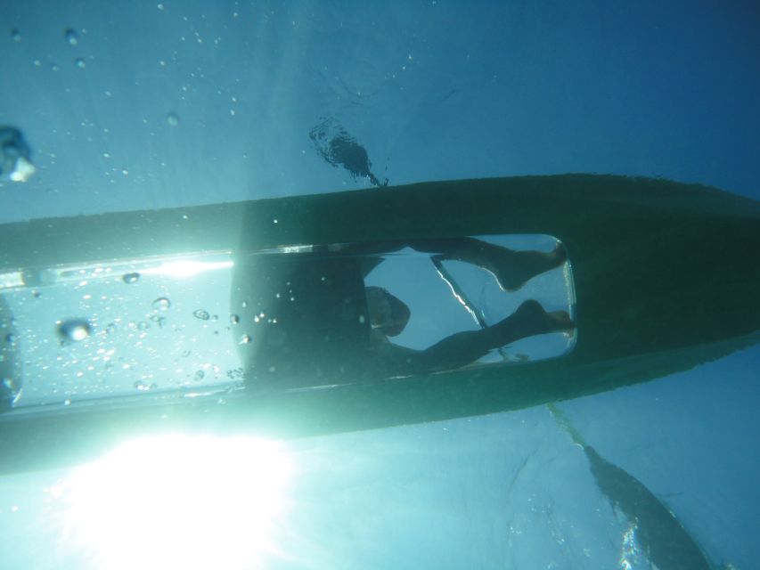 South Maui: Self Guided Clear Bottom Kayak Tour - What you’ll see under the glass: turtles, reef fish, anemones, rays, and sharks