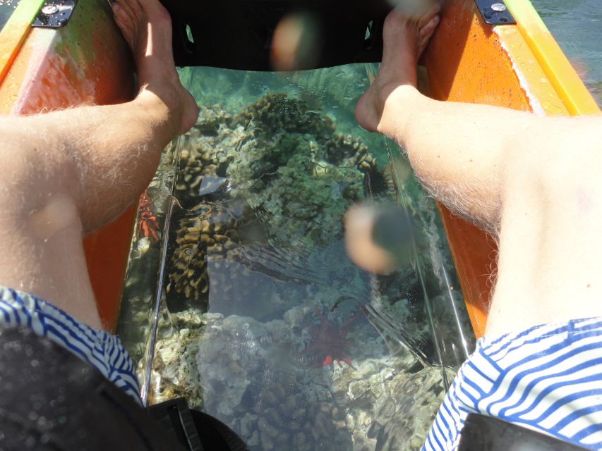 South Maui: Self Guided Clear Bottom Kayak Tour - The fun factor: squirt gun play and why it still fits the wildlife vibe