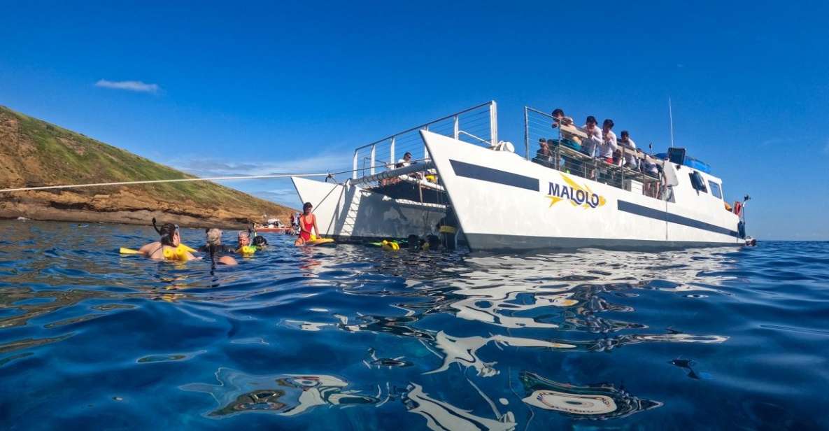 South Maui: Snorkel to Coral Gardens or Molokini Crater - Why this afternoon plan works so well on Maui