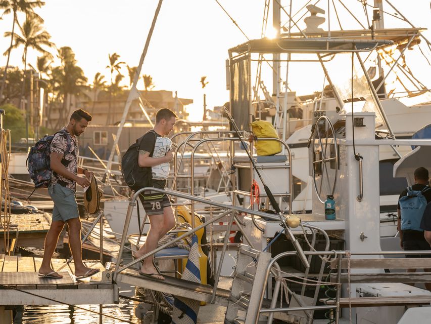 South Maui: Snorkel to Coral Gardens or Molokini Crater - Maalaea Bay cruise time and the whale-watching rhythm
