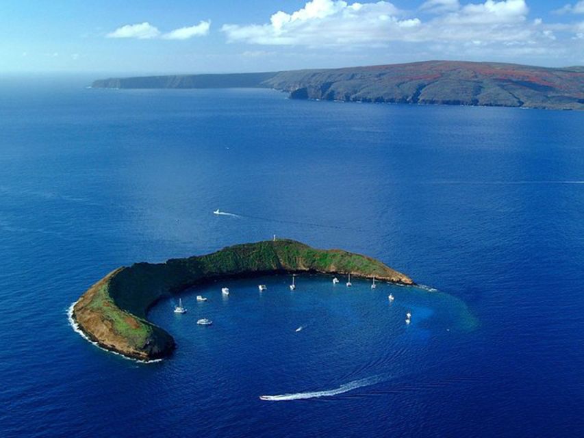 South Maui: Snorkel to Coral Gardens or Molokini Crater - Molokini Crater vs Coral Gardens: how the captain chooses