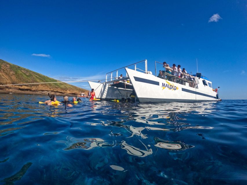 South Maui: Snorkel to Coral Gardens or Molokini Crater - Snorkeling gear, safety, and what to do once you’re in