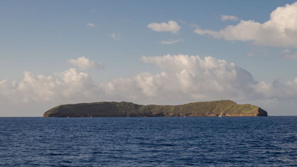 South Maui: Snorkel to Coral Gardens or Molokini Crater - Who this tour suits best, and who should skip it